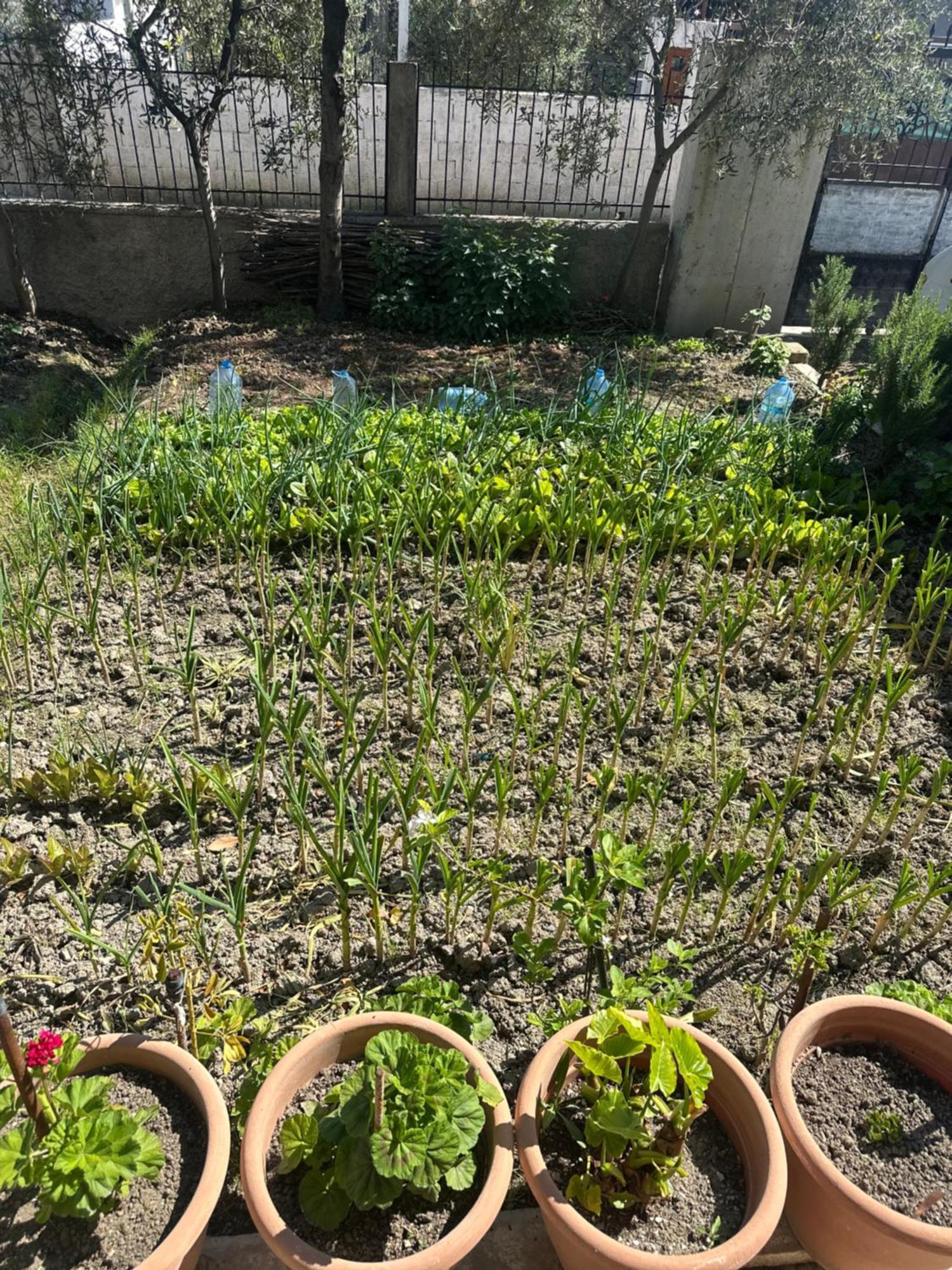 Gafko Apartamento Durrës