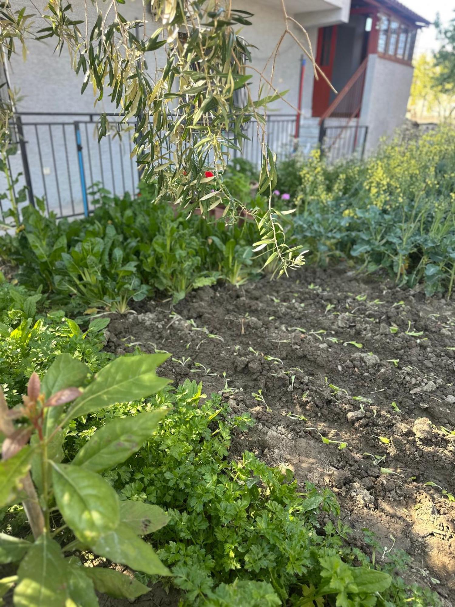 Gafko Apartamento Durrës