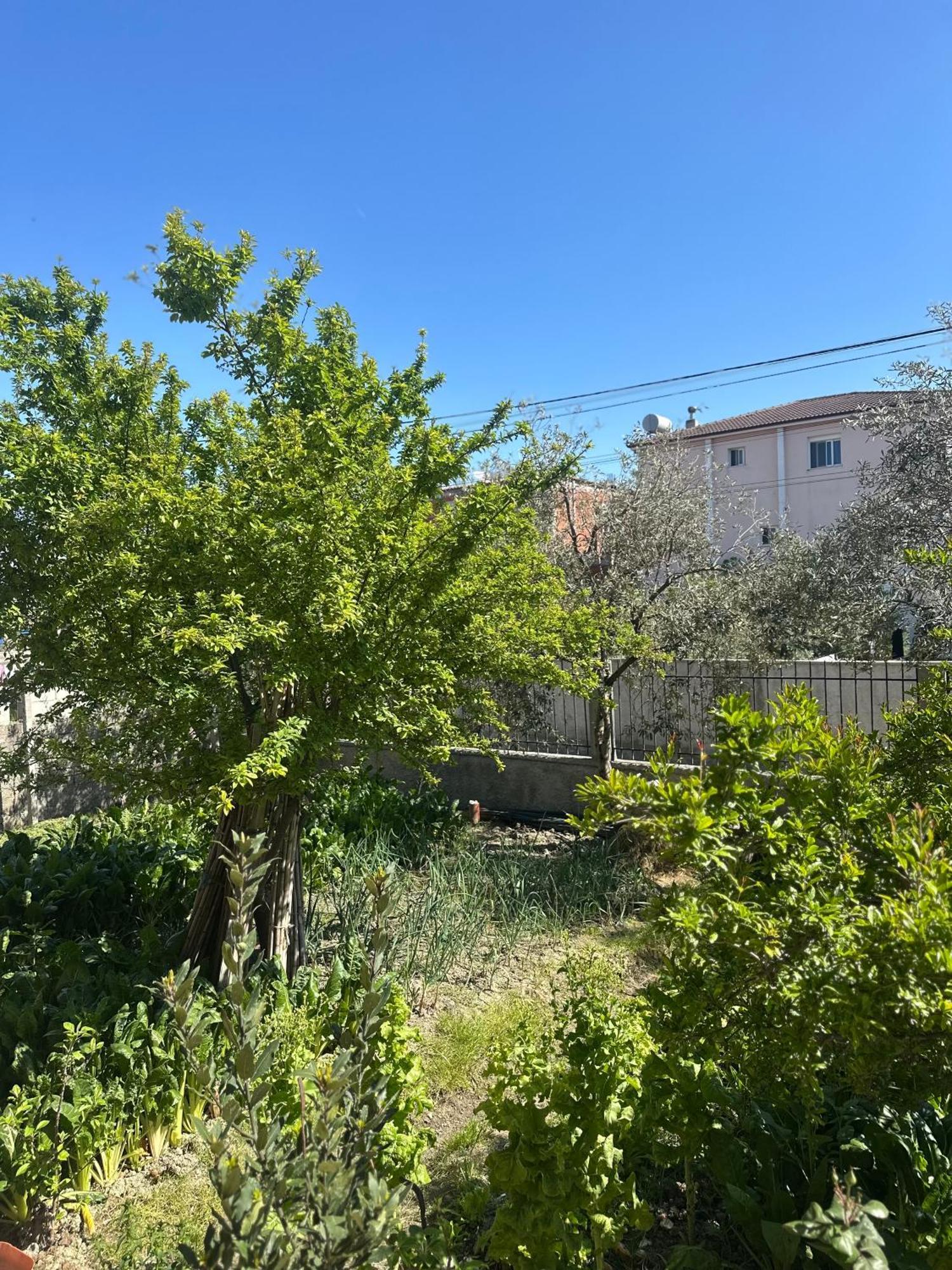 Gafko Apartamento
